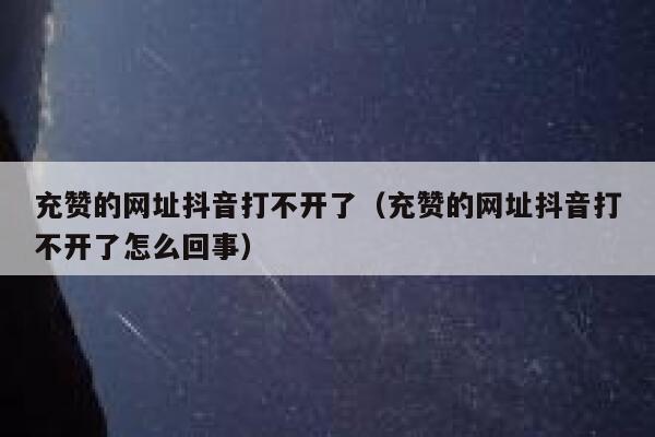 充赞的网址抖音打不开了(充赞的网址抖音打不开了怎么回事) 第1张 充赞的网址抖音打不开了(充赞的网址抖音打不开了怎么回事) 第1张