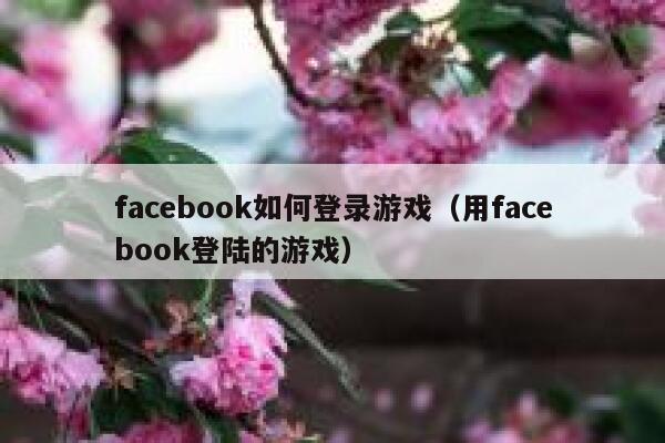 facebook如何登录游戏（用facebook登陆的游戏） 第1张