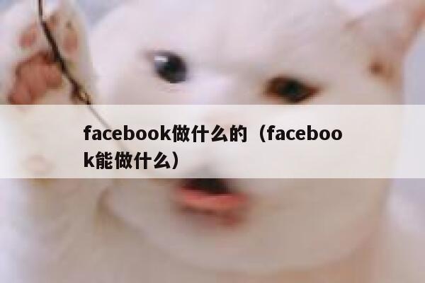 facebook做什么的（facebook能做什么） 第1张