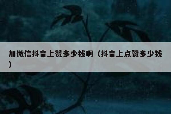 加微信抖音上赞多少钱啊(抖音上点赞多少钱) 第1张 加微信抖音上赞多少钱啊(抖音上点赞多少钱) 第1张