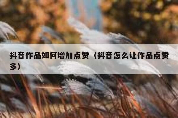 抖音作品如何增加点赞(抖音怎么让作品点赞多) 第1张 抖音作品如何增加点赞(抖音怎么让作品点赞多) 第1张
