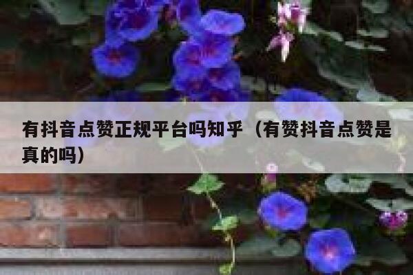 有抖音点赞正规平台吗知乎（有赞抖音点赞是真的吗） 第1张
