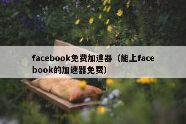 facebook免费加速器（能上facebook的加速器免费） 第1张