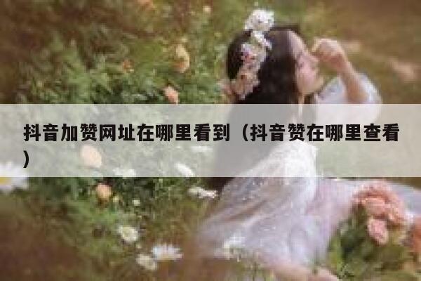 抖音加赞网址在哪里看到（抖音赞在哪里查看） 第1张