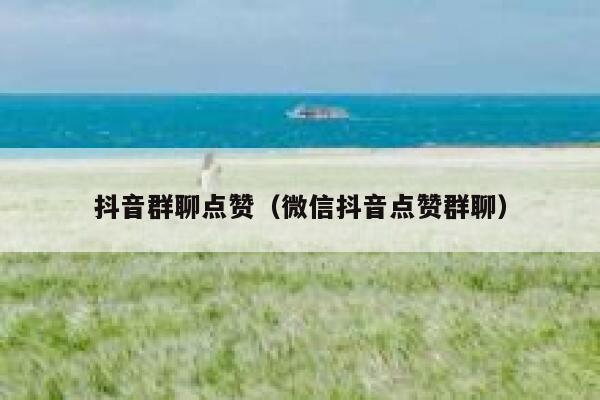 抖音群聊点赞（微信抖音点赞群聊） 第1张