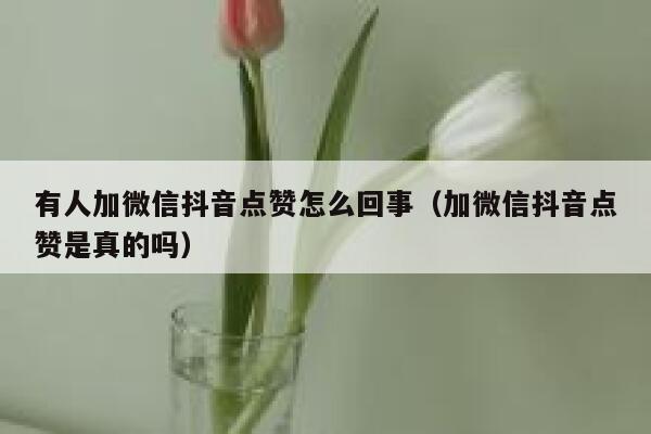 有人加微信抖音点赞怎么回事(加微信抖音点赞是真的吗) 第1张 有人加微信抖音点赞怎么回事(加微信抖音点赞是真的吗) 第1张