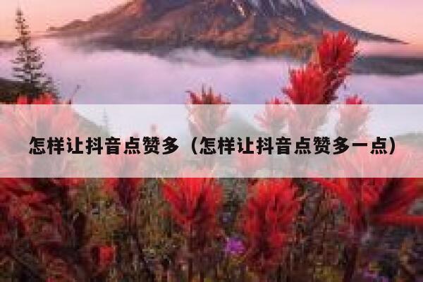 怎样让抖音点赞多（怎样让抖音点赞多一点） 第1张