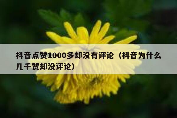 抖音点赞1000多却没有评论（抖音为什么几千赞却没评论） 第1张