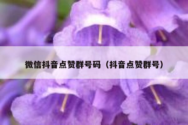 微信抖音点赞群号码（抖音点赞群号） 第1张