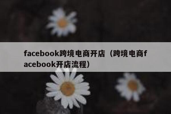 facebook跨境电商开店(跨境电商facebook开店流程) 第1张 facebook跨境电商开店(跨境电商facebook开店流程) 第1张