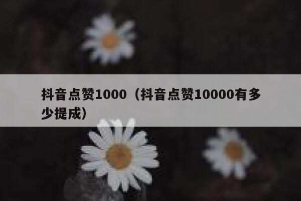 抖音点赞1000（抖音点赞10000有多少提成） 第1张