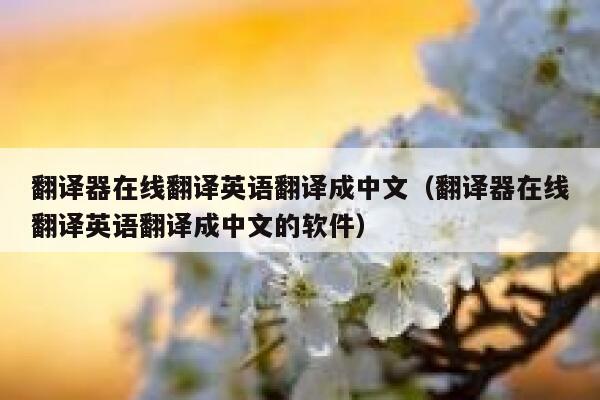 翻译器在线翻译英语翻译成中文(翻译器在线翻译英语翻译成中文的软件) 第1张 翻译器在线翻译英语翻译成中文(翻译器在线翻译英语翻译成中文的软件) 第1张