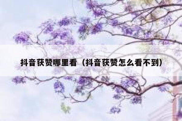 抖音获赞哪里看（抖音获赞怎么看不到） 第1张