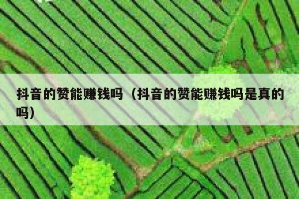 抖音的赞能赚钱吗（抖音的赞能赚钱吗是真的吗） 第1张