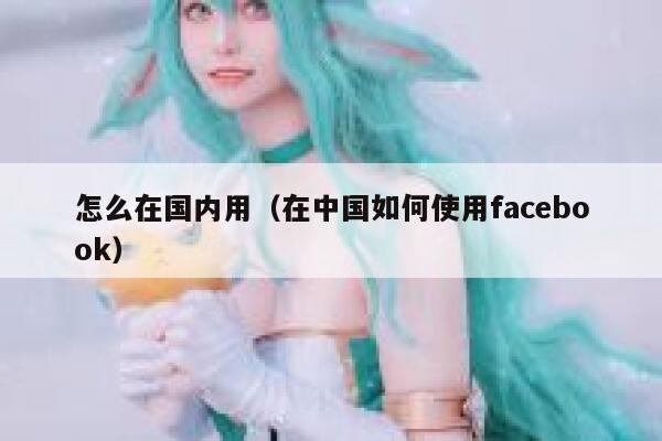 怎么在国内用（在中国如何使用facebook） 第1张