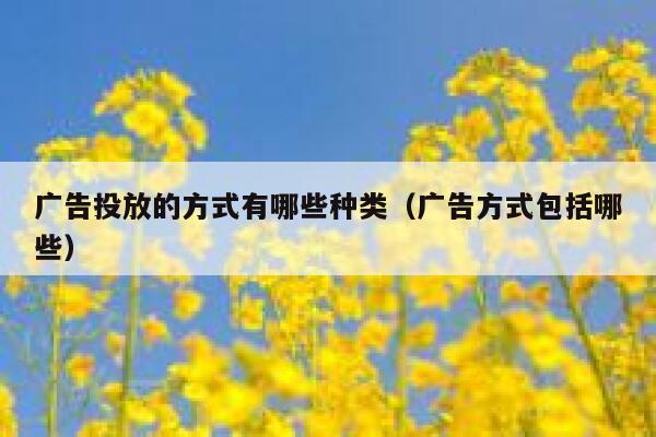 广告投放的方式有哪些种类（广告方式包括哪些） 第1张