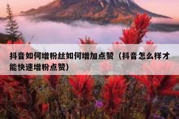 抖音如何增粉丝如何增加点赞（抖音怎么样才能快速增粉点赞） 第1张
