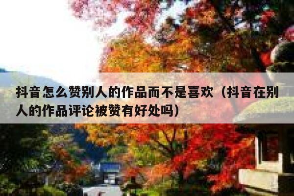 抖音怎么赞别人的作品而不是喜欢（抖音在别人的作品评论被赞有好处吗） 第1张