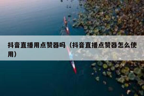 抖音直播用点赞器吗（抖音直播点赞器怎么使用） 第1张