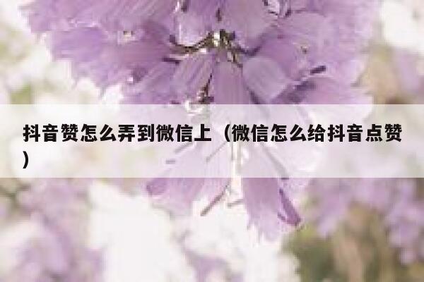 抖音赞怎么弄到微信上（微信怎么给抖音点赞） 第1张