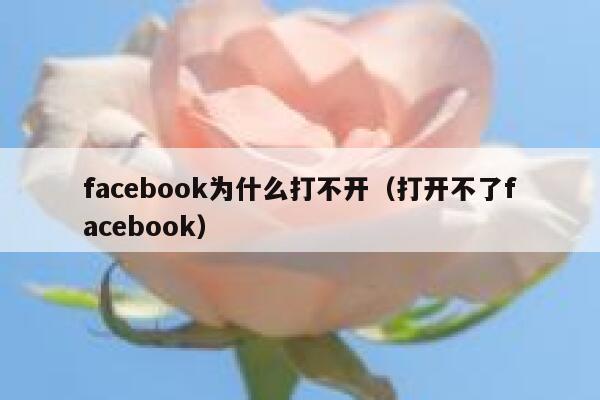 facebook为什么打不开（打开不了facebook） 第1张