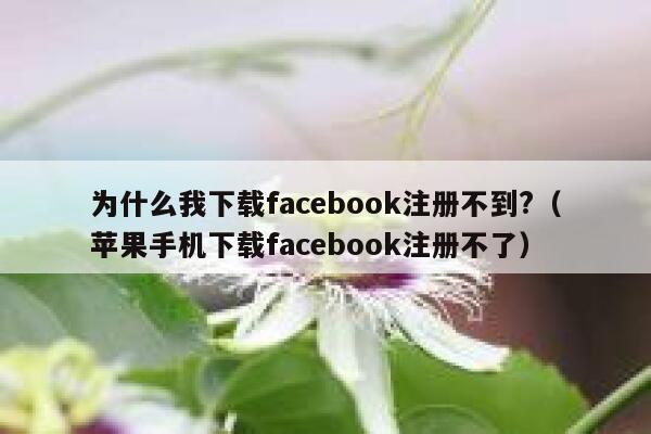 为什么我下载facebook注册不到?(苹果手机下载facebook注册不了) 第1张 为什么我下载facebook注册不到?(苹果手机下载facebook注册不了) 第1张