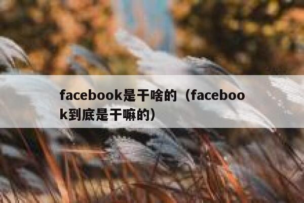 facebook是干啥的（facebook到底是干嘛的） 第1张