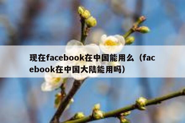 现在facebook在中国能用么（facebook在中国大陆能用吗） 第1张