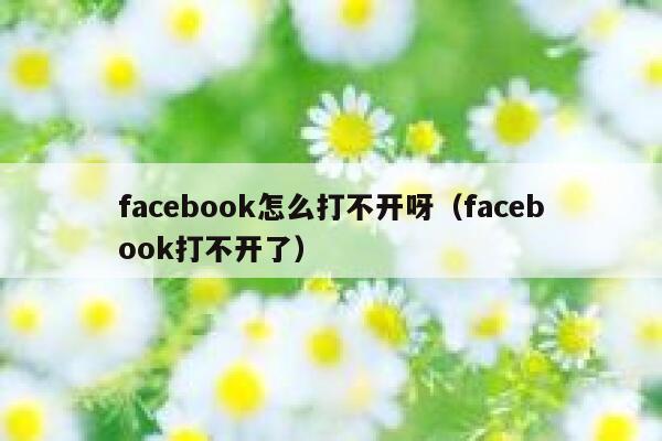 facebook怎么打不开呀（facebook打不开了） 第1张