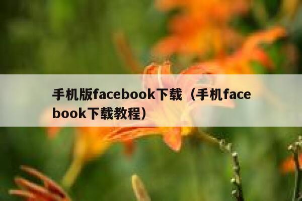 手机版facebook下载（手机facebook下载教程） 第1张