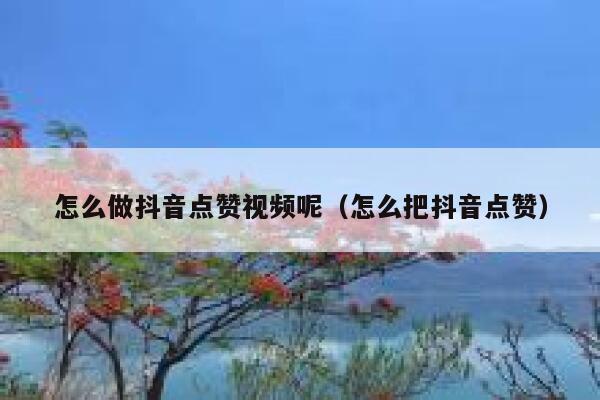 怎么做抖音点赞视频呢（怎么把抖音点赞） 第1张