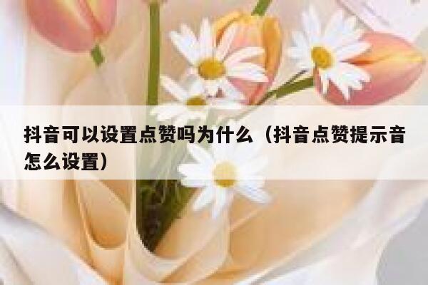抖音可以设置点赞吗为什么(抖音点赞提示音怎么设置) 第1张 抖音可以设置点赞吗为什么(抖音点赞提示音怎么设置) 第1张
