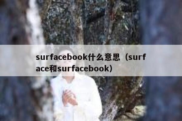 surfacebook什么意思（surface和surfacebook） 第1张