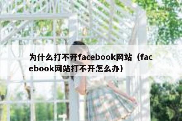 为什么打不开facebook网站（facebook网站打不开怎么办） 第1张