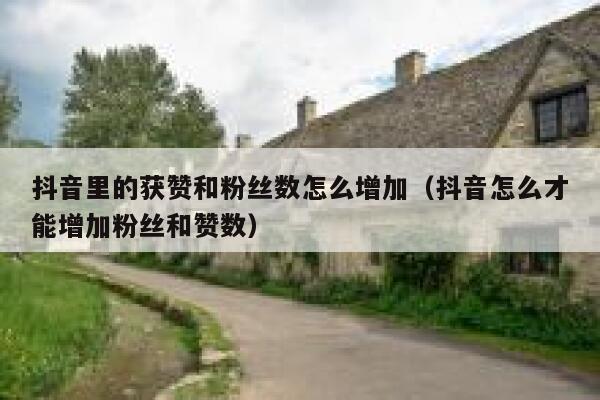 抖音里的获赞和粉丝数怎么增加（抖音怎么才能增加粉丝和赞数） 第1张