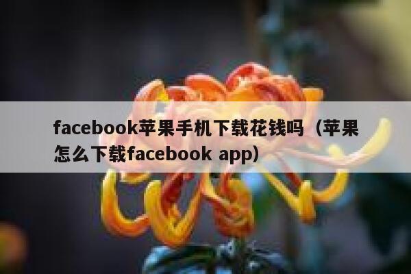 facebook苹果手机下载花钱吗（苹果怎么下载facebook app） 第1张