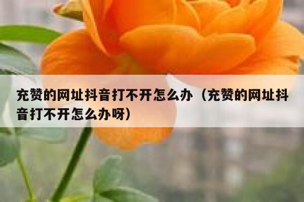 充赞的网址抖音打不开怎么办（充赞的网址抖音打不开怎么办呀） 第1张