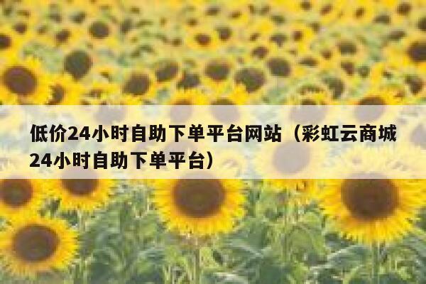 低价24小时自助下单平台网站（彩虹云商城24小时自助下单平台） 第1张
