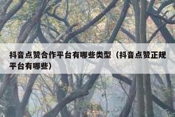 抖音点赞合作平台有哪些类型（抖音点赞正规平台有哪些） 第1张