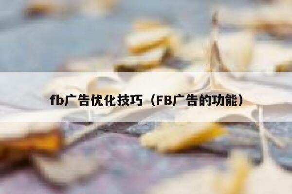 fb广告优化技巧（FB广告的功能） 第1张