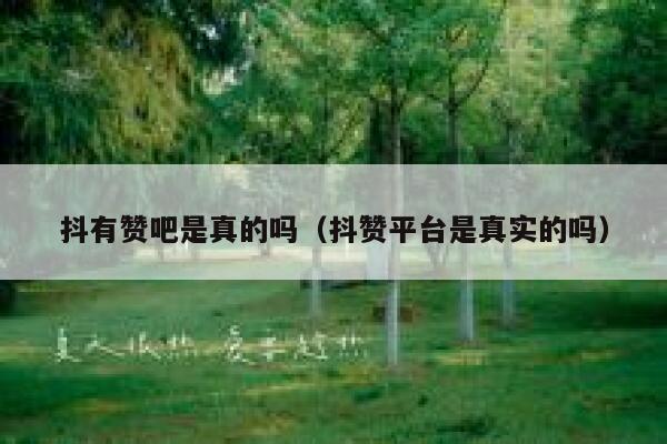 抖有赞吧是真的吗（抖赞平台是真实的吗） 第1张