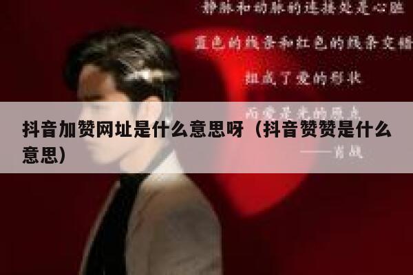 抖音加赞网址是什么意思呀（抖音赞赞是什么意思） 第1张
