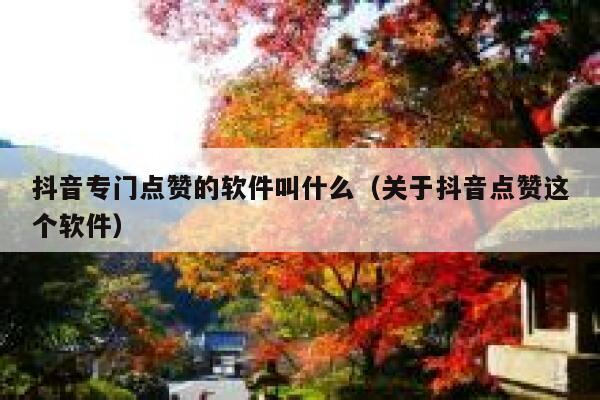 抖音专门点赞的软件叫什么（关于抖音点赞这个软件） 第1张