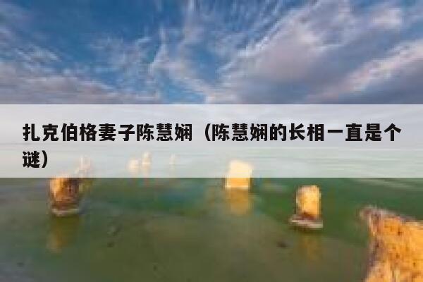 扎克伯格妻子陈慧娴（陈慧娴的长相一直是个谜） 第1张