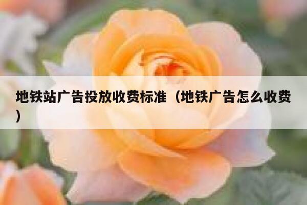 地铁站广告投放收费标准（地铁广告怎么收费） 第1张