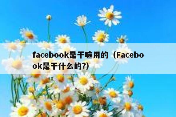 facebook是干嘛用的（Facebook是干什么的?） 第1张