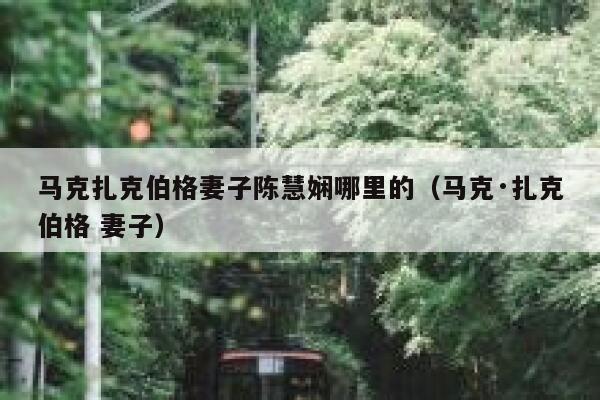 马克扎克伯格妻子陈慧娴哪里的（马克·扎克伯格 妻子） 第1张