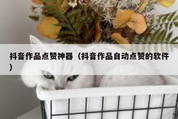 抖音作品点赞神器（抖音作品自动点赞的软件） 第1张