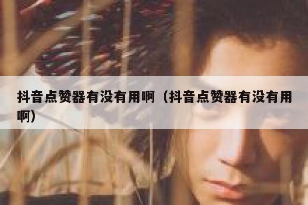 抖音点赞器有没有用啊（抖音点赞器有没有用啊） 第1张