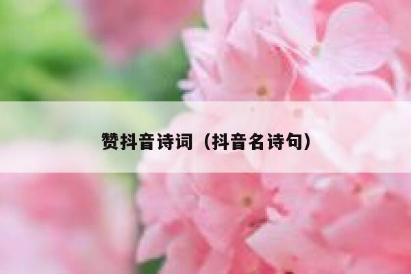 赞抖音诗词（抖音名诗句） 第1张